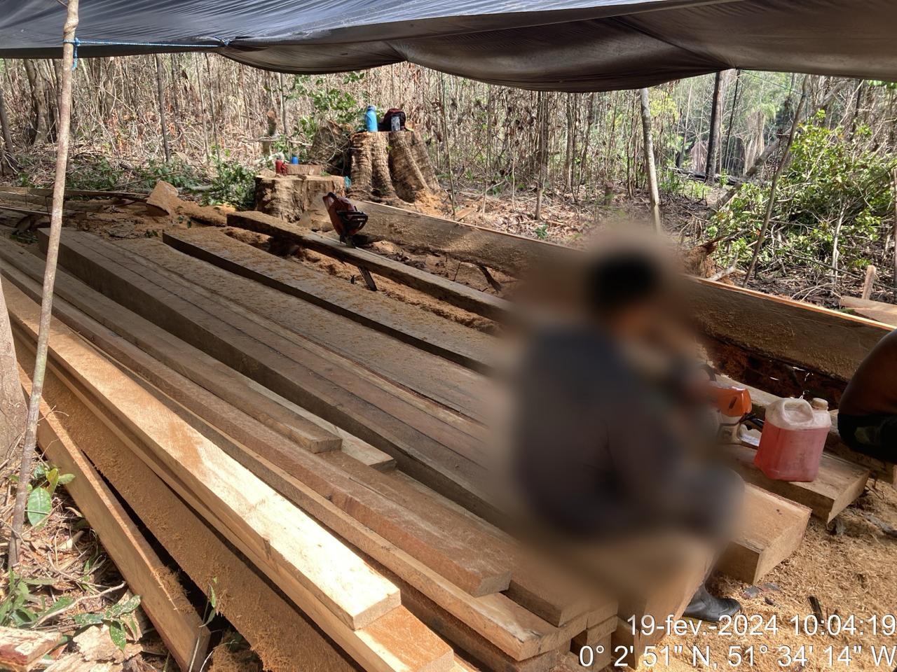 POLÍCIA CIVIL INVESTIGA QUATRO HOMENS PELA PRÁTICA DO CRIME DE DESMATAMENTO EM ÁREA DE DOMÍNIO PÚBLICO